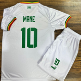 Le Maillot Puma des Lions de la Teranga : Exprimez votre Fierté Sénégalaise en Toute Élégance