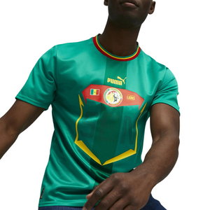 Le Maillot Puma des Lions de la Teranga : Exprimez votre Fierté Sénégalaise en Toute Élégance