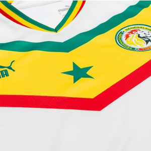 Le Maillot Puma des Lions de la Teranga : Exprimez votre Fierté Sénégalaise en Toute Élégance