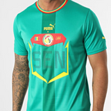 Le Maillot Puma des Lions de la Teranga : Exprimez votre Fierté Sénégalaise en Toute Élégance